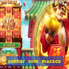 sonhar com macaco o que significa